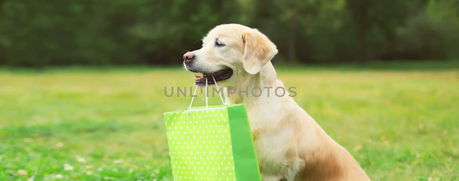 Happy Golden Retriever dog holding green shopping bag in the teeth in park by Rohappy