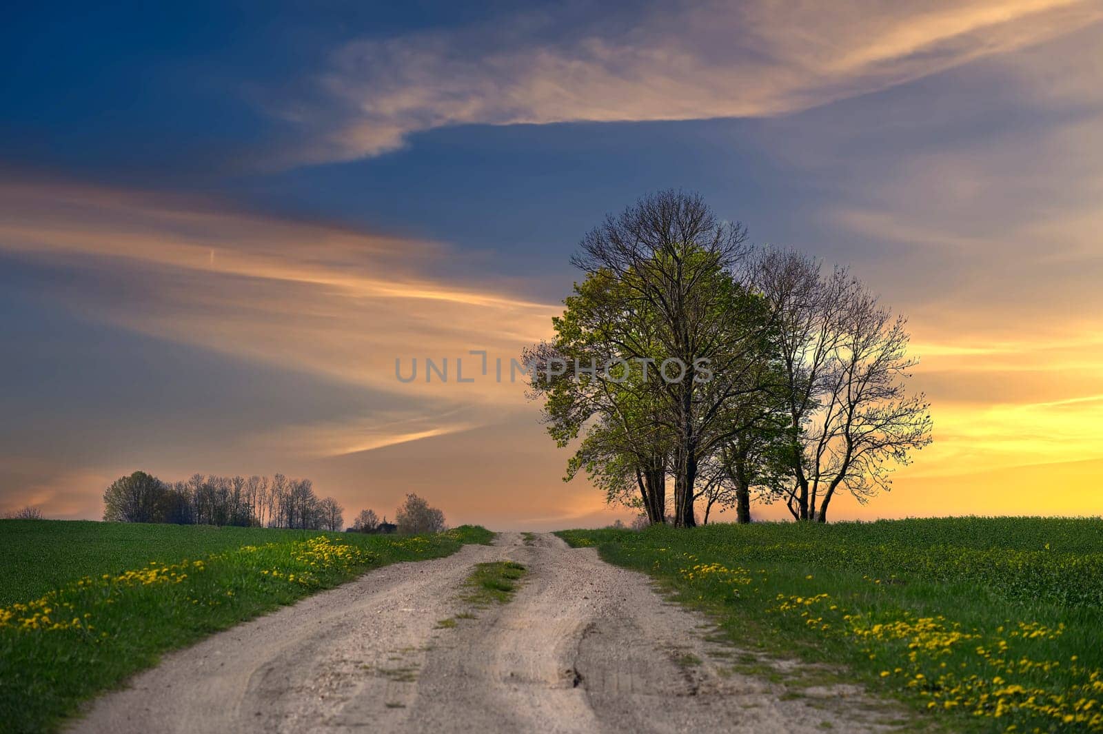 Rural scene featuring a straight, dirt country road extending from the foreground to the distance, sky painted with beautiful gradient of deep blue, light blue and yellow hues as result of the sunset