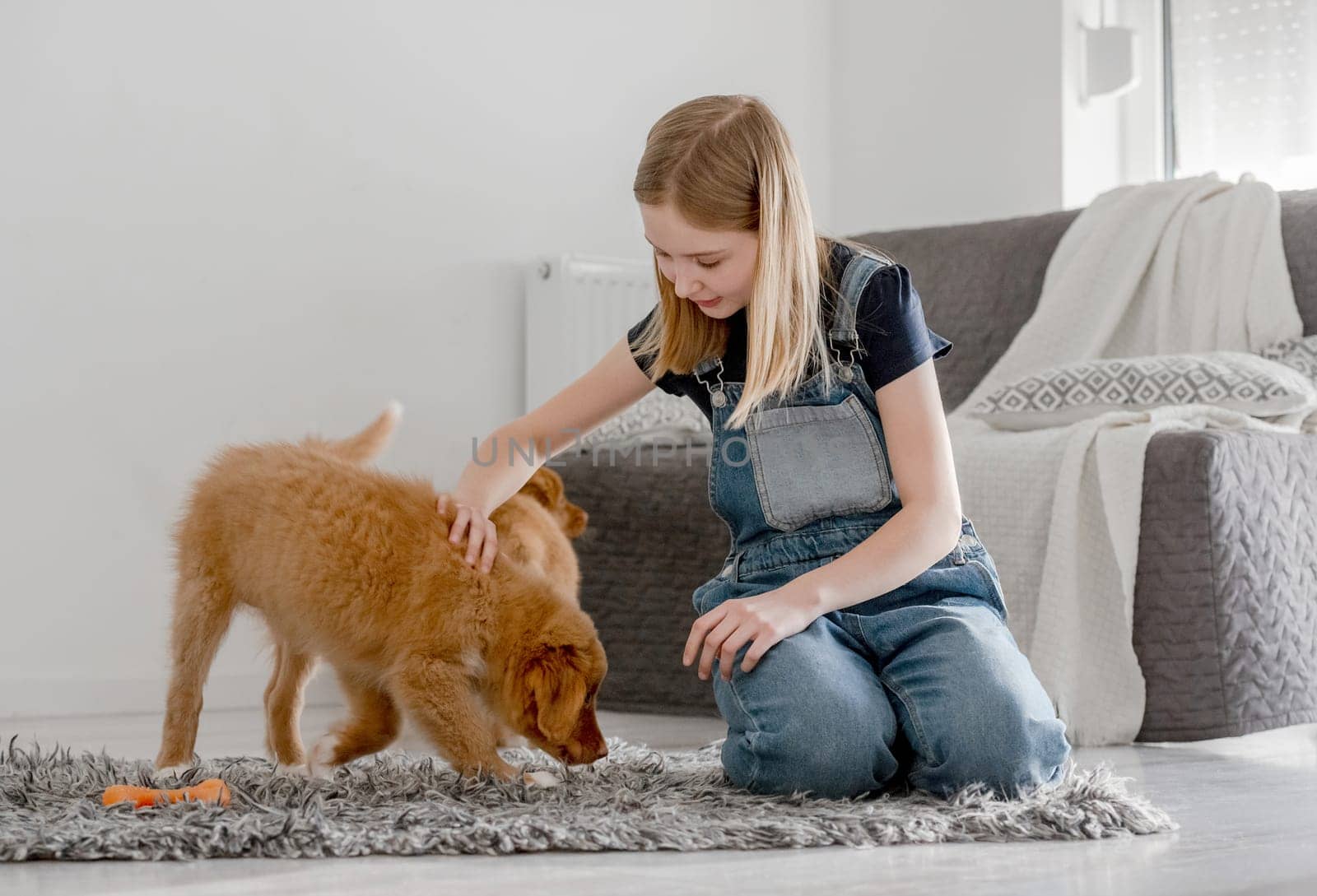 Girl Plays With Nova Scotia Retriever Puppies On Floor At Home by tan4ikk1