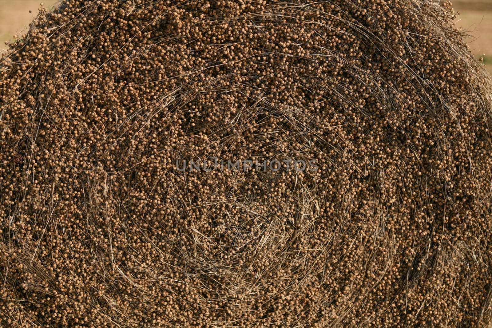 Bale of dry flax on the field by Godi