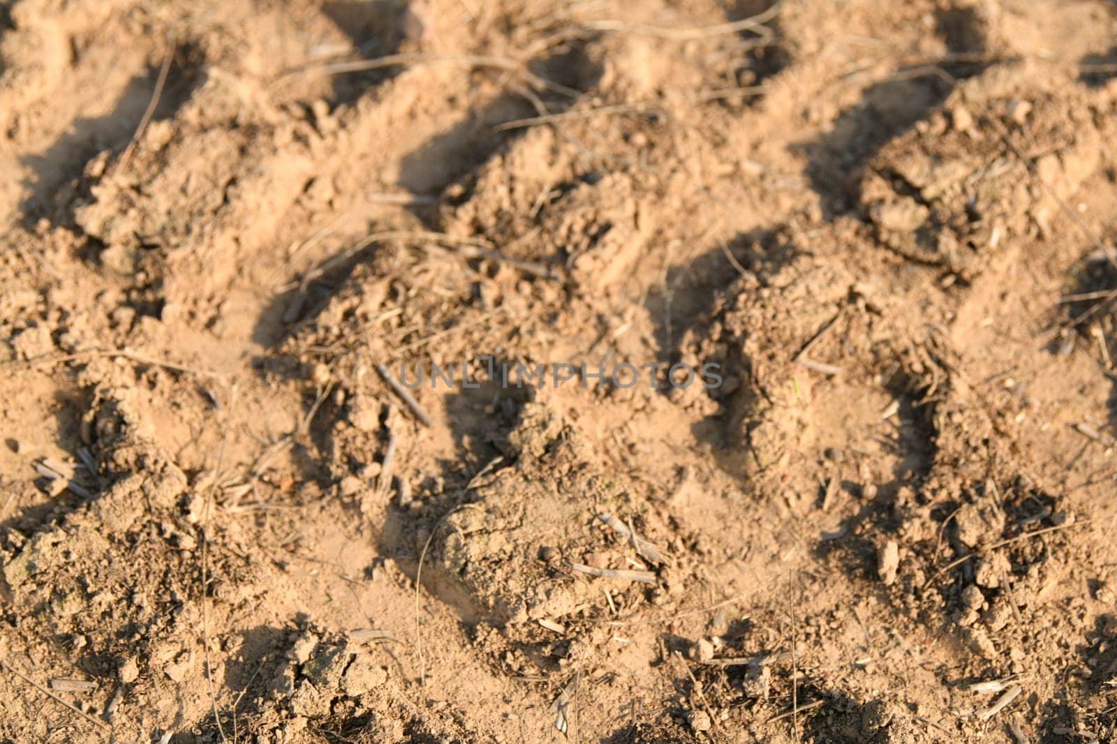 The traces of a tractor after harvesting flax by Godi