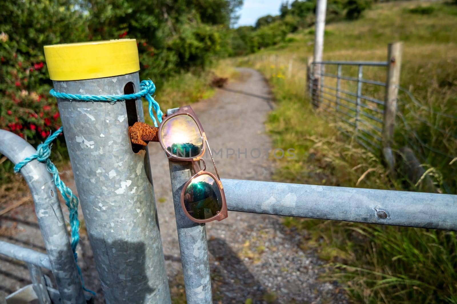 Sun glasses resting on a gate in rural Ireland.