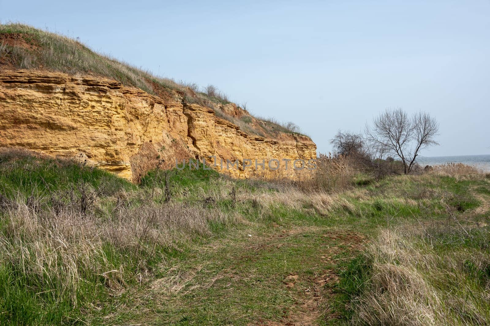 Spring morning on a wild beach in the village of Fontanka, Odessa region, Ukraine, in 2024