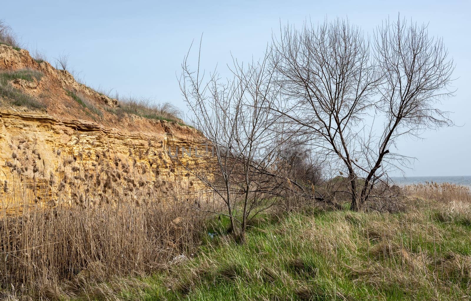 Spring morning on a wild beach in the village of Fontanka, Odessa region, Ukraine, in 2024