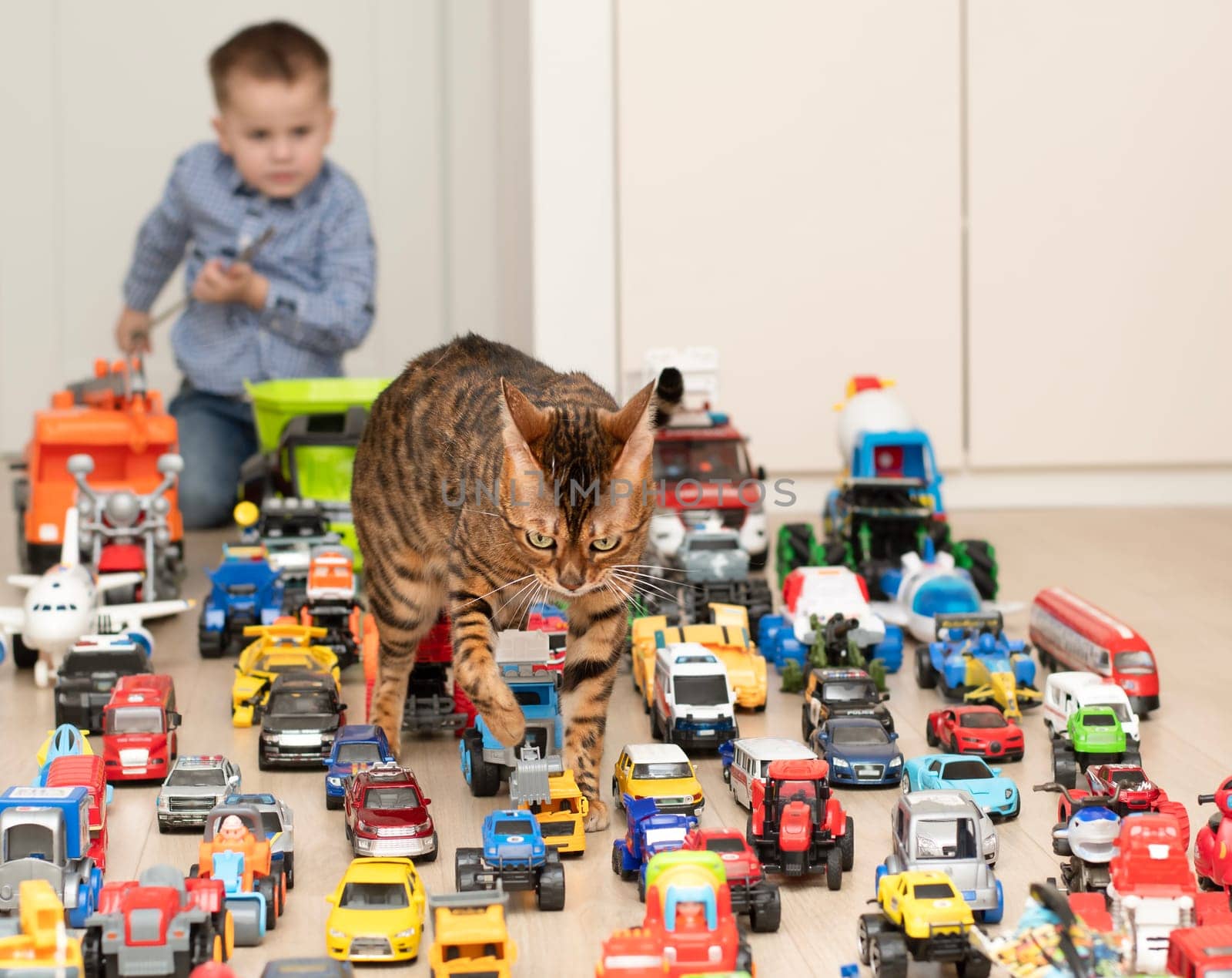 Concept of children's toys. A domestic beautiful, red and tabby Bengal cat and a little boy, 4 years old, play happily, sitting on the floor, with multi-colored small and large cars in the children's room. Soft focus.