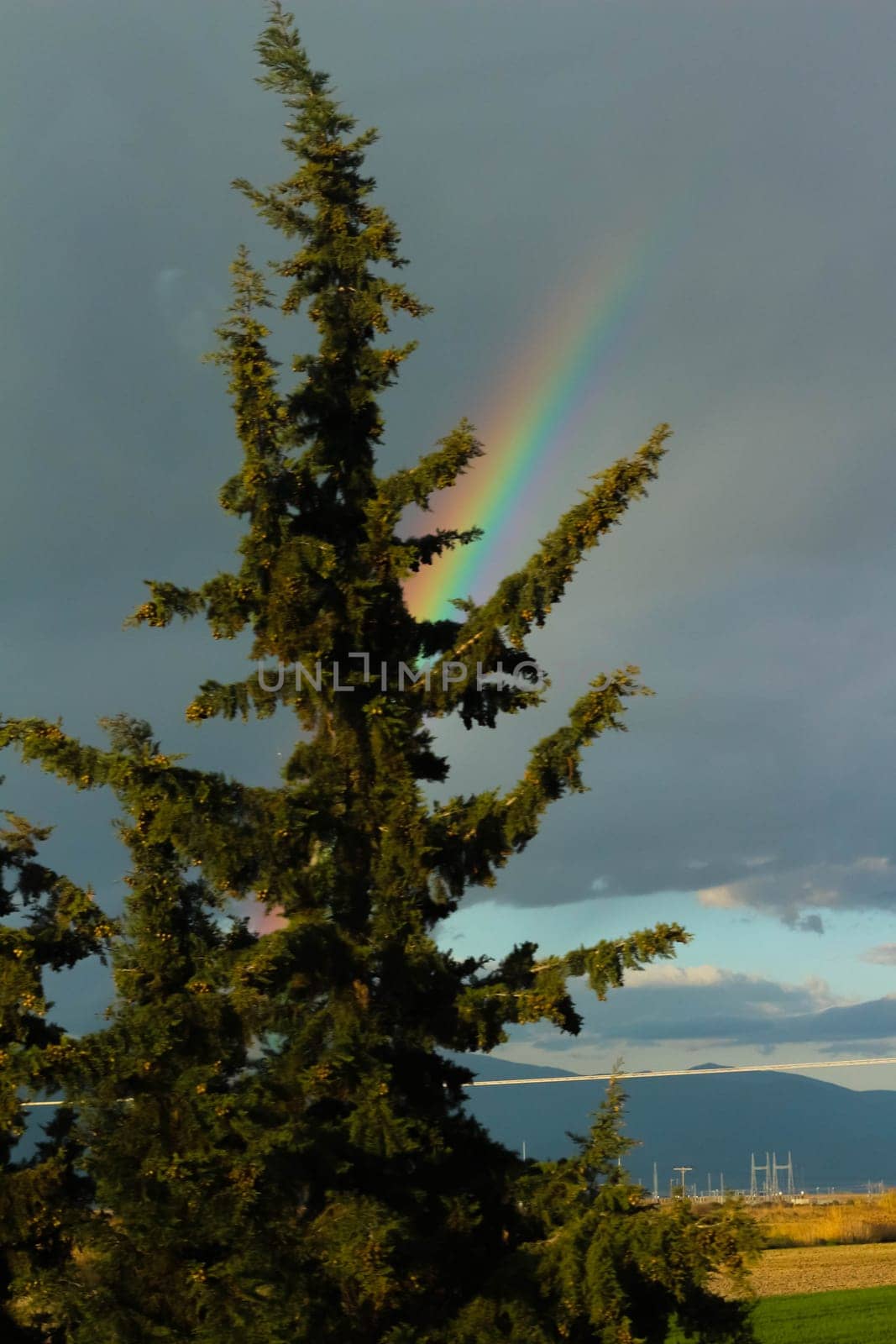 Embark on a visual journey as you capture the stunning beauty of a rainbow set against a backdrop of dramatic clouds