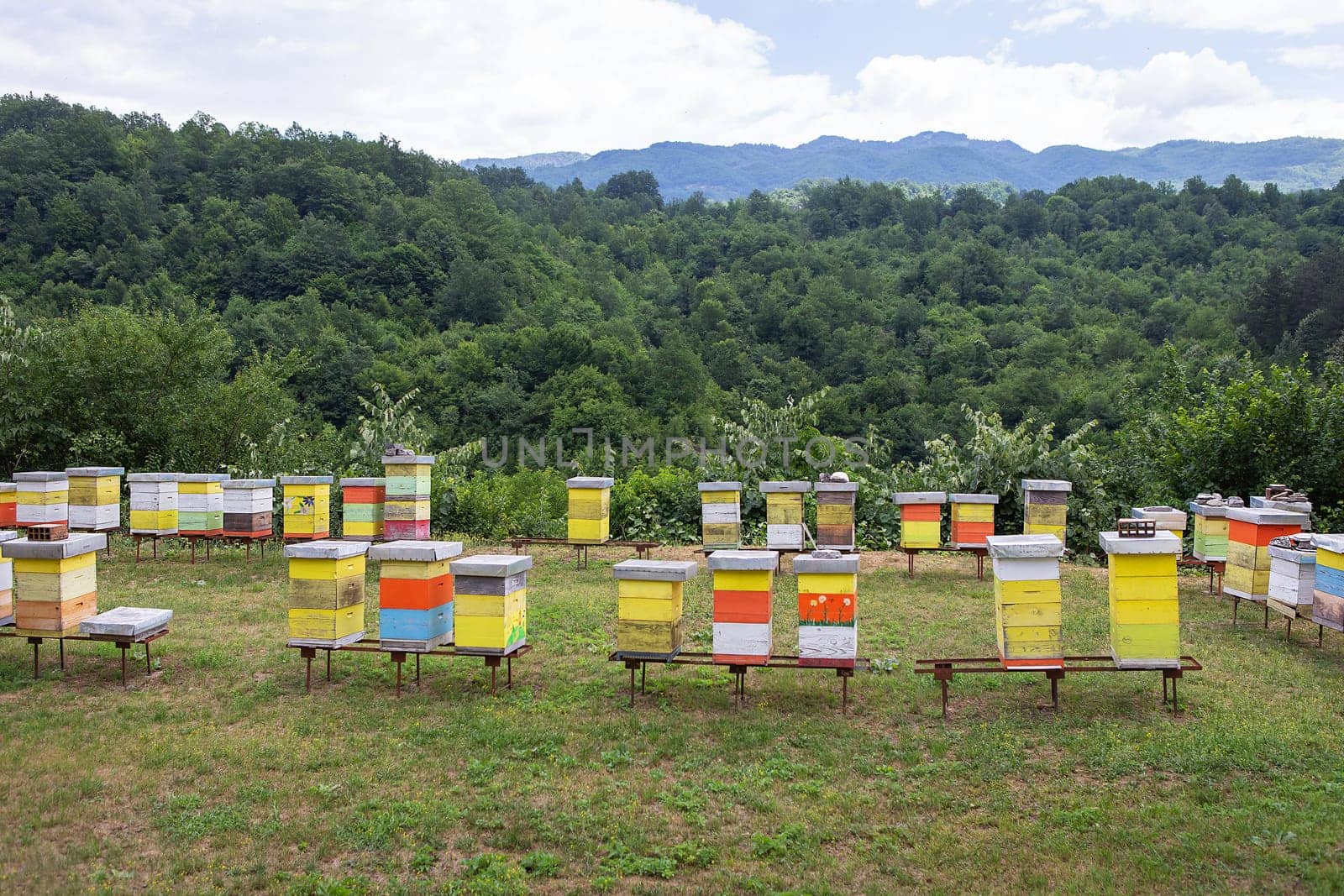 Colored beehives in a meadow in the countryside of Montenegro. Apiary, beekeeping in Europe