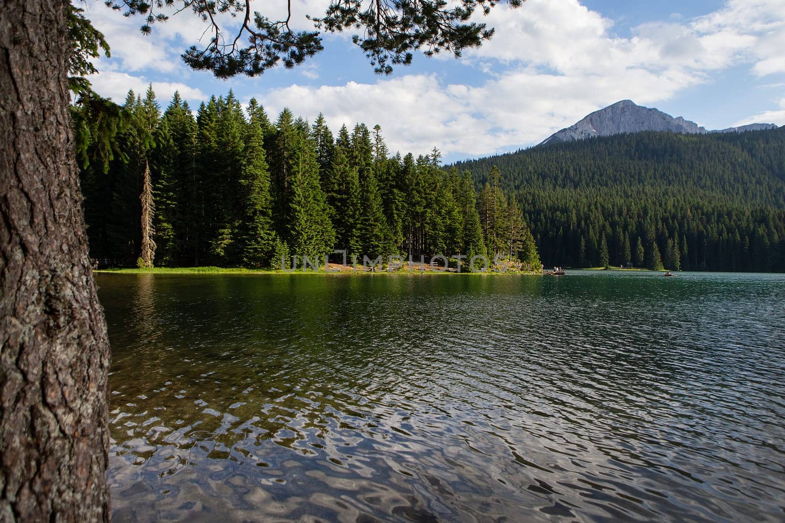 Mountain landscape, Durmitor National Park, Montenegro. Beautiful view of the lake benches near the lake in a beautiful forest
