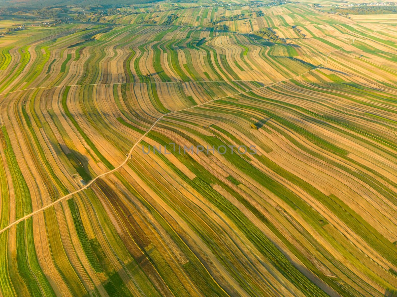 Striped plowed field near Suloszowa village in Krakow County, Poland by Popov