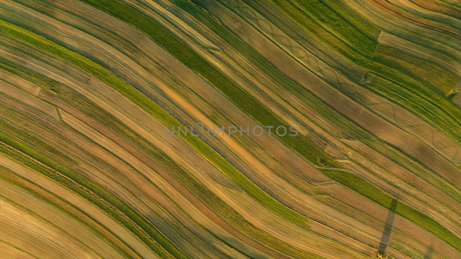 Aerial view directly from above of agricultural field with diagonal stripes texture, Suloszowa village in Krakow County, Poland