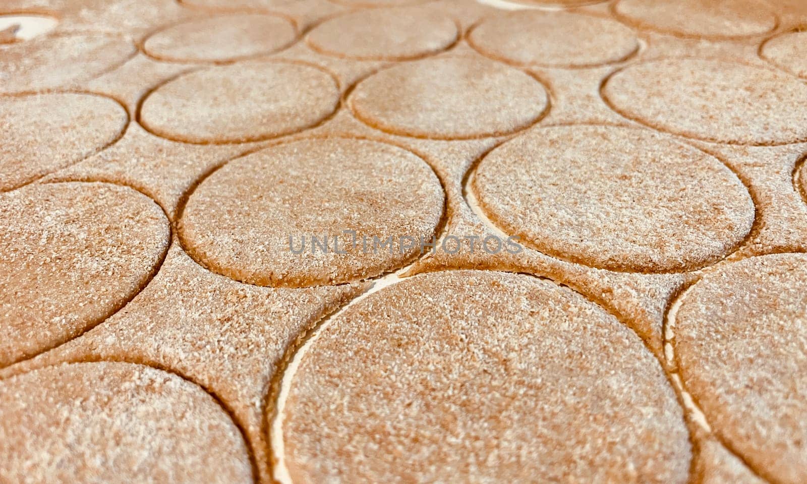 Rolled dough from whole wheat flour and cut out circles for making dumplings. High quality photo