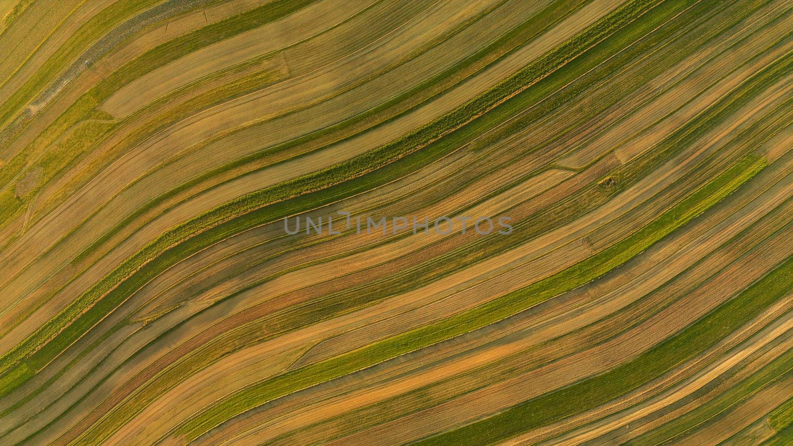 Drone aerial view of field with diagonal stripes texture, Suloszowa village in Poland by Popov