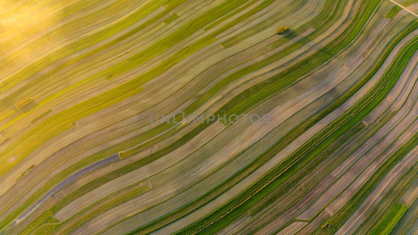 Aerial view of striped field in warm sun rays, Suloszowa village in Krakow County, Poland