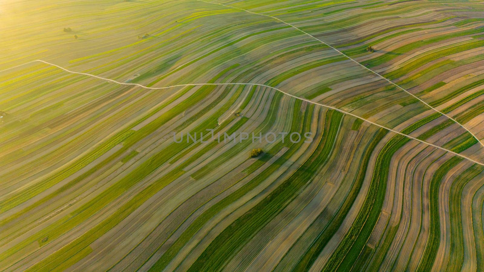 Drone view of roads through fields in Suloszowa village in Krakow County, Poland by Popov