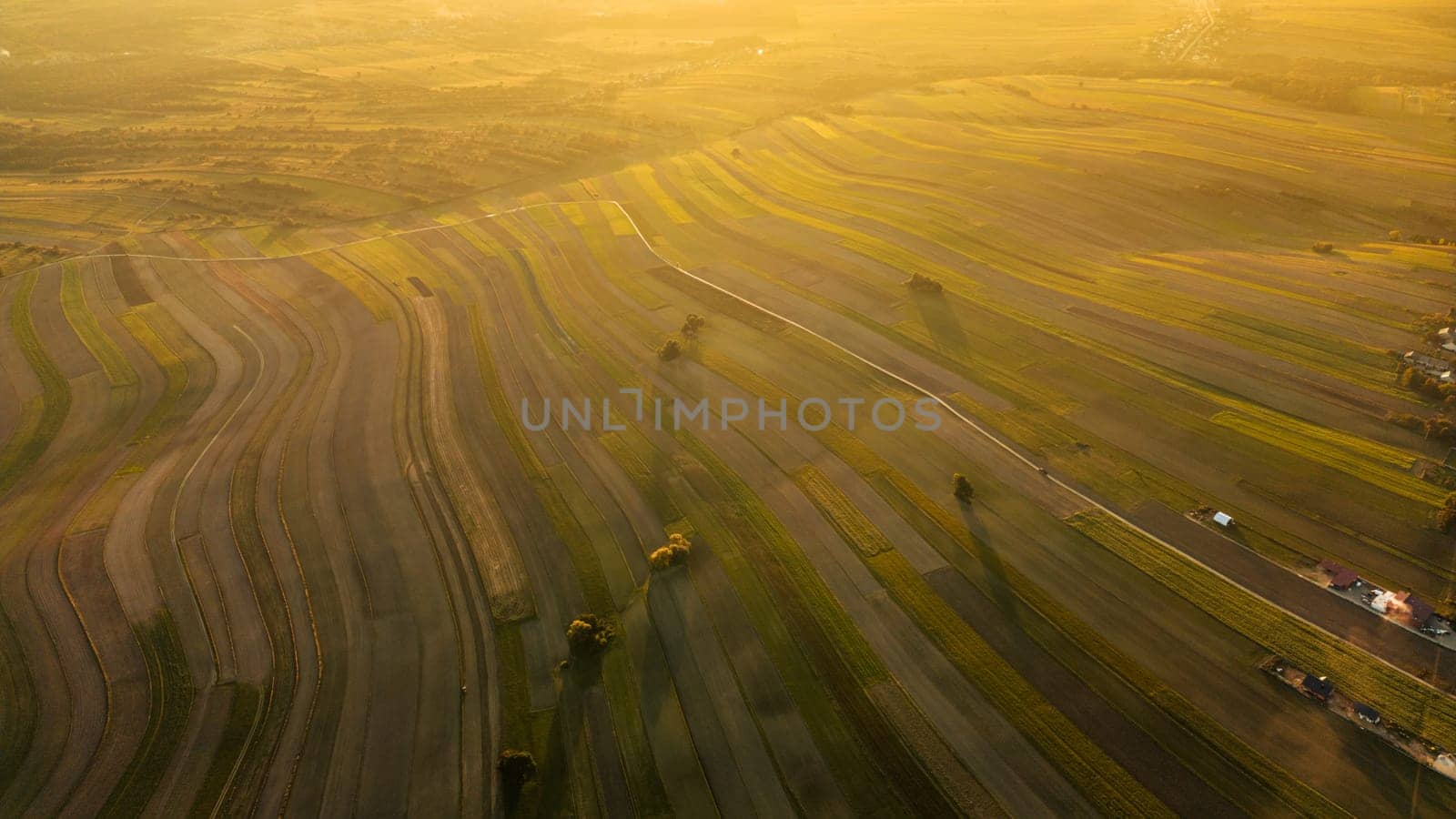 Aerial photo from flying drone over yellow fields of Suloszowa village in Krakow County at sunset, Poland