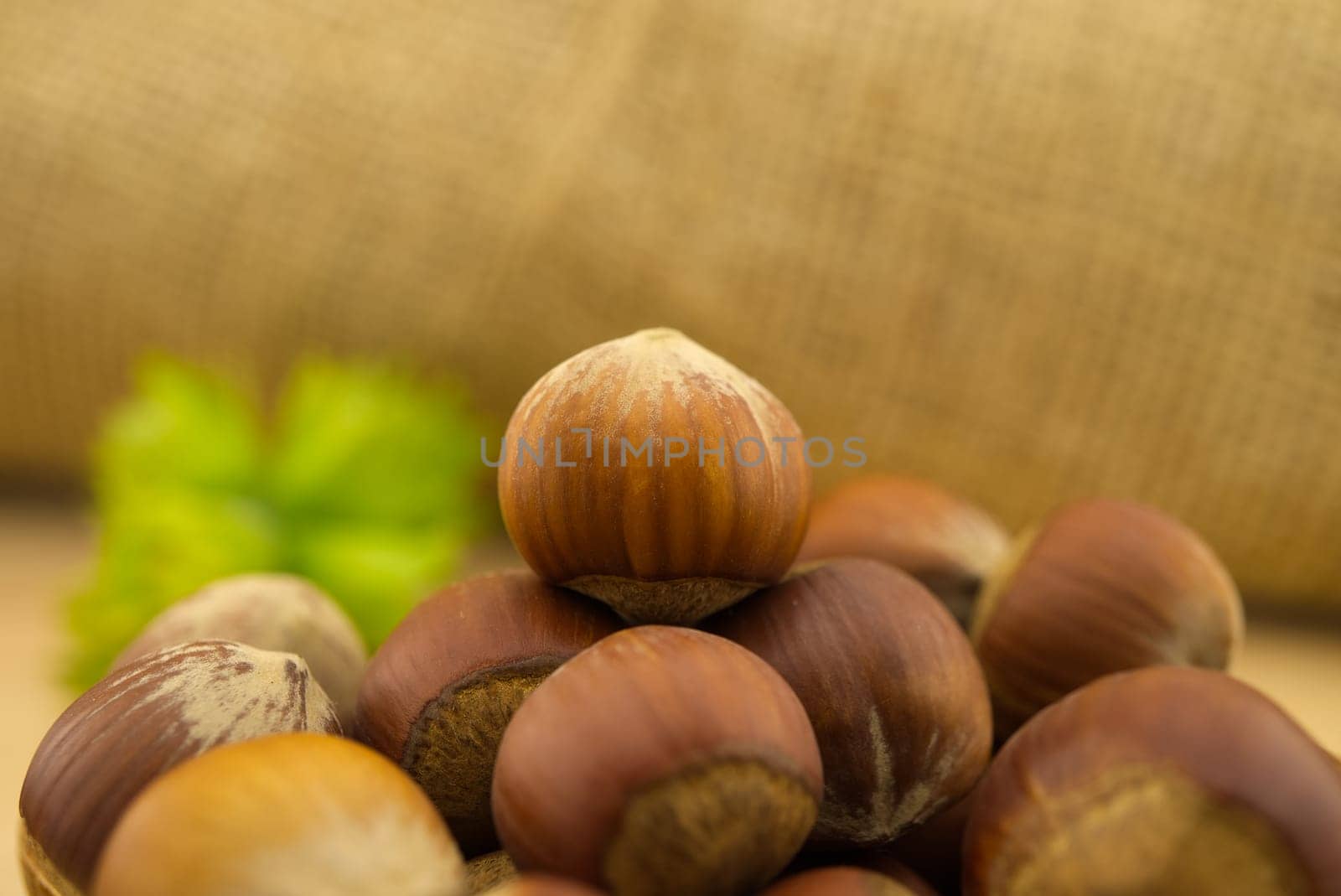 Fresh unshelled hazelnuts in front of the jute sack by NetPix