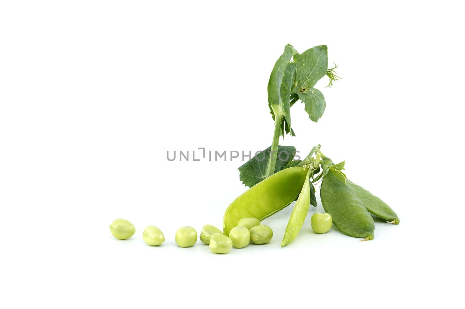 English peas pods with green leaves isolated on white by NetPix
