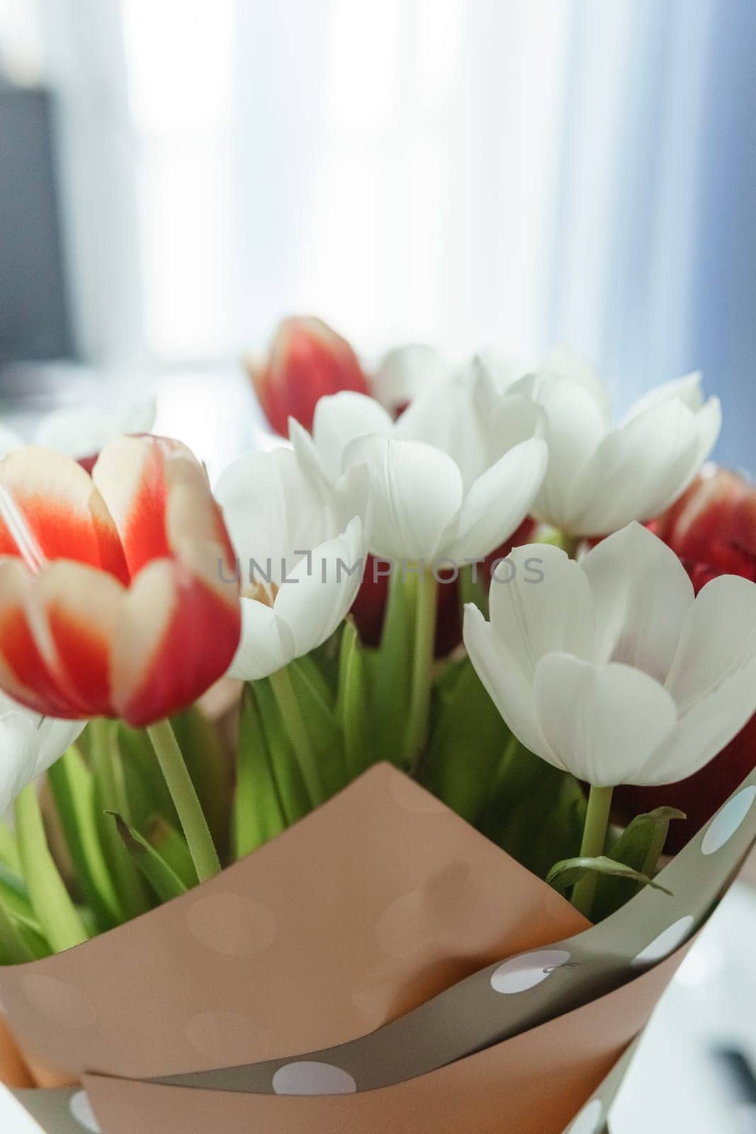 Spring Inspiration: Tulip Bouquet in Honor of International Women's Day by Annu1tochka