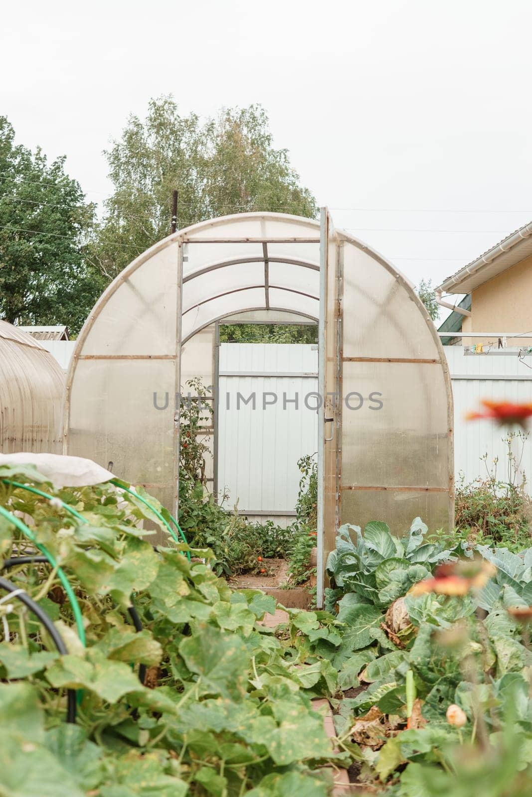 Large greenhouses for growing homemade vegetables. The concept of gardening and life in the country