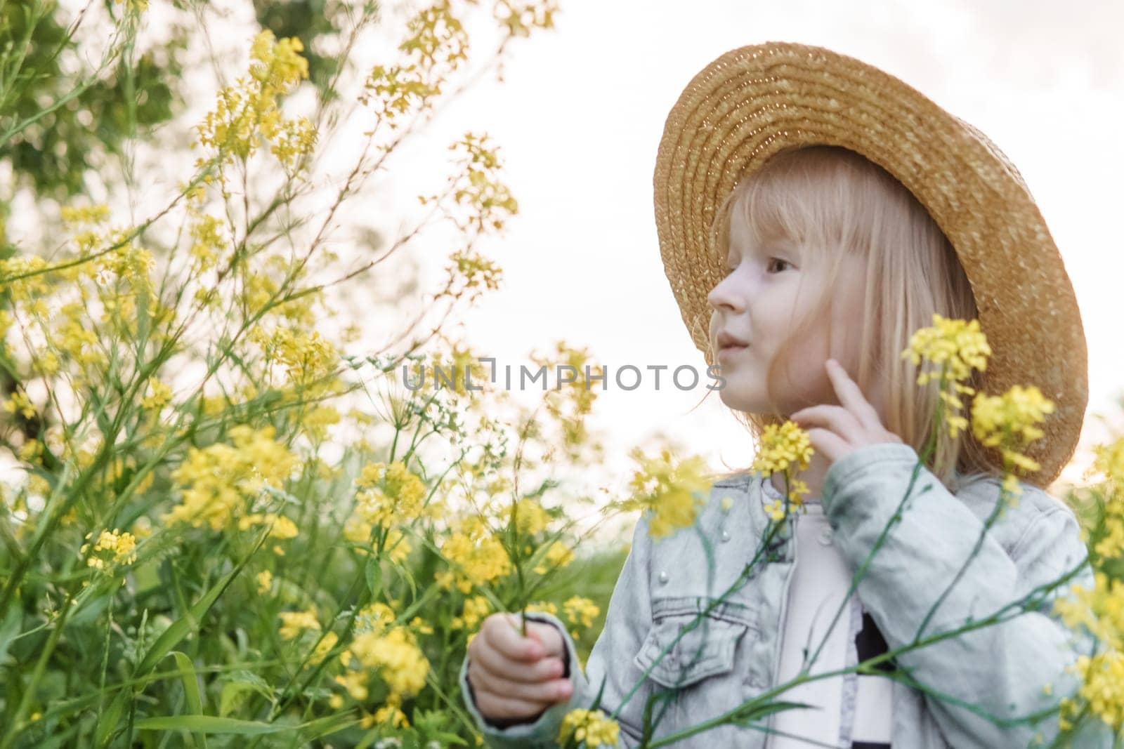 Blonde girl in a field with yellow flowers. A girl in a straw hat is picking flowers in a field. A field with rapeseed