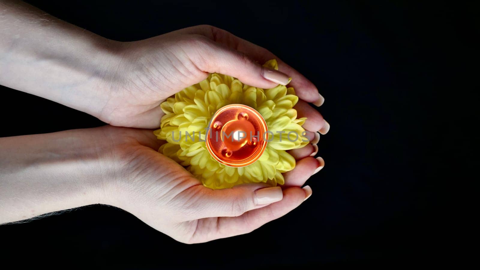 Celebration of the religious Indian festival of Diwali. Yellow flowers in woman's hands with burning holi candles at Hindi festival close-up, isolated, black background
