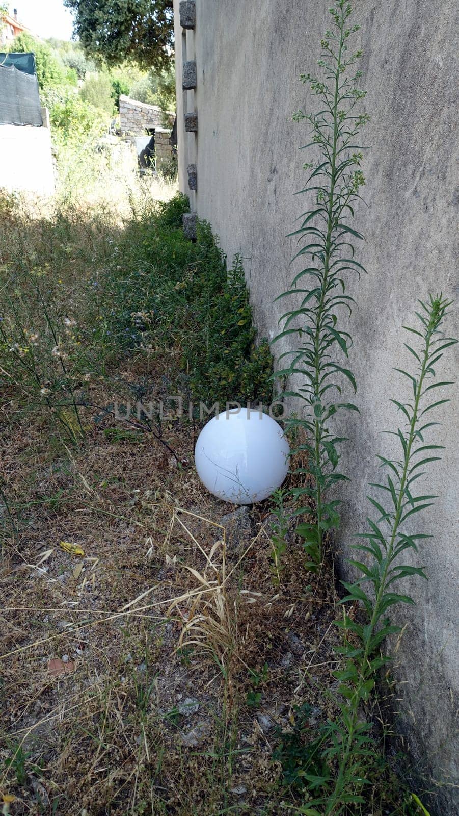 A white crystal sphere lying on the grass next to a wall. by Jamaladeen