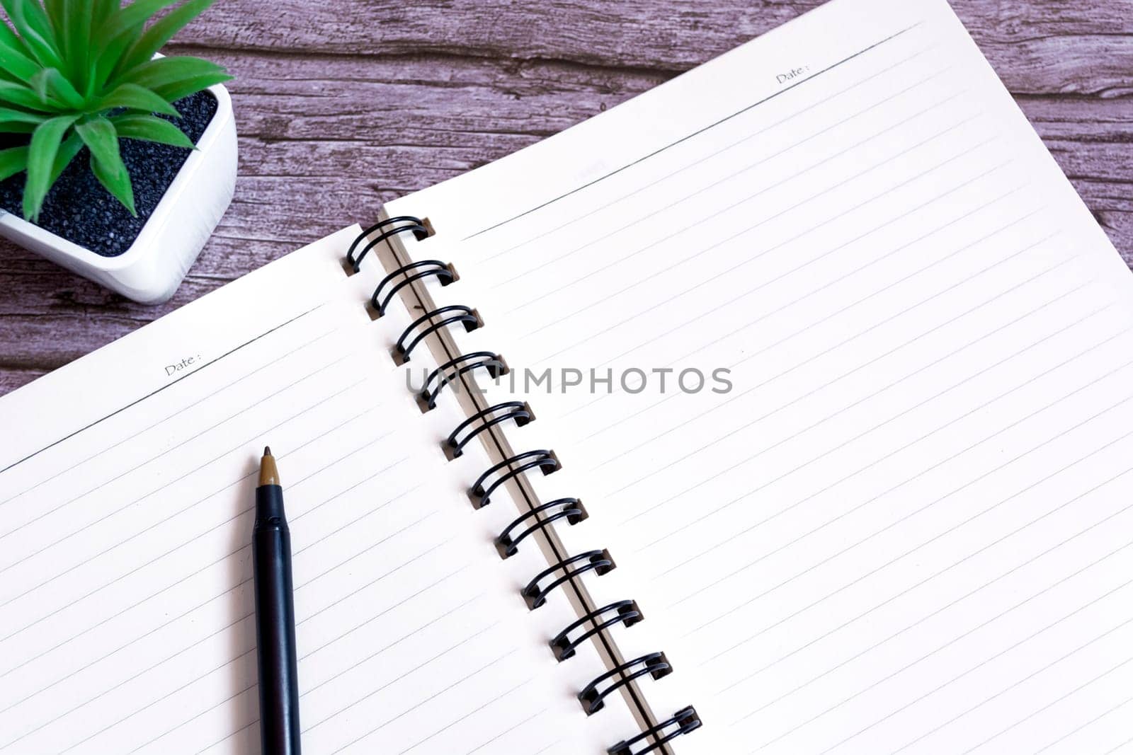 Note book with pen and potted plant on wooden desk. Directly above. Flat lay. Copy space.