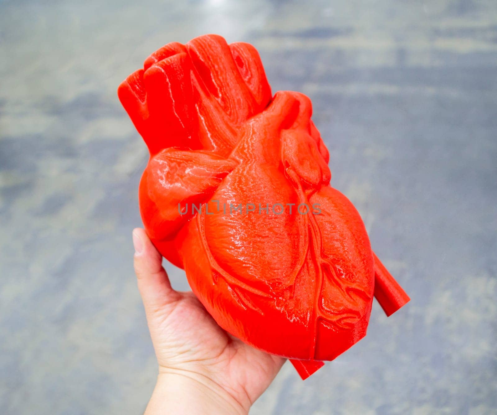 Person holding in hand prototype of human heart 3D printed from molten red plastic. Model of human heart printed on 3D printer close-up. New modern additive 3D printing medical healthcare technologies