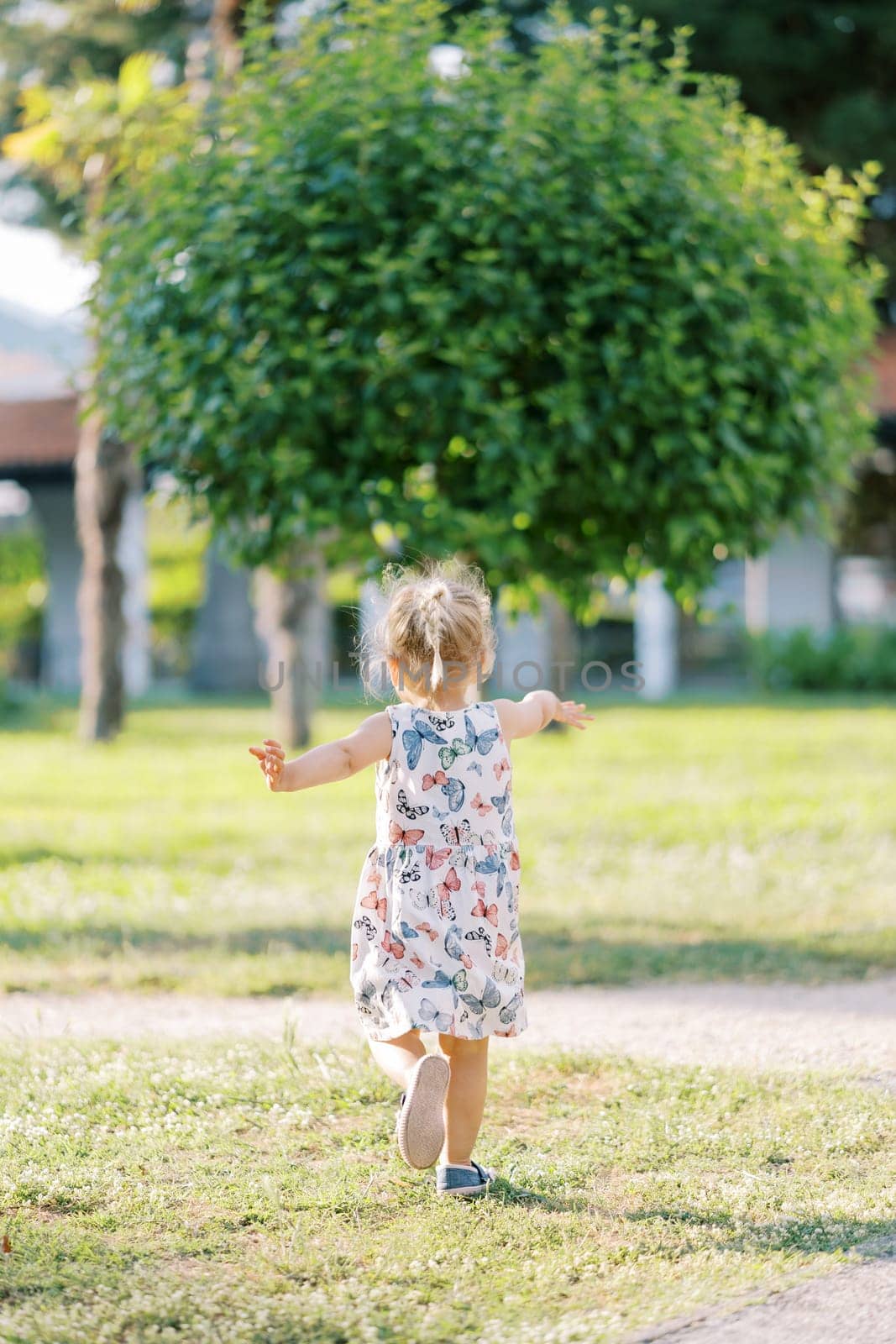 Little girl walks across a sunny lawn towards a green tree waving her arms. Back view. High quality photo
