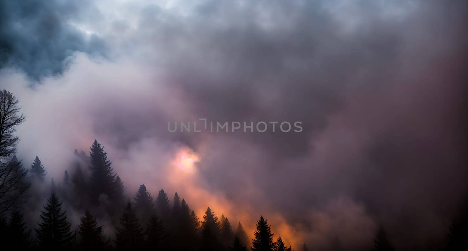 The image shows a dense forest with tall trees in the foreground, with the sun shining through the clouds in the background.
