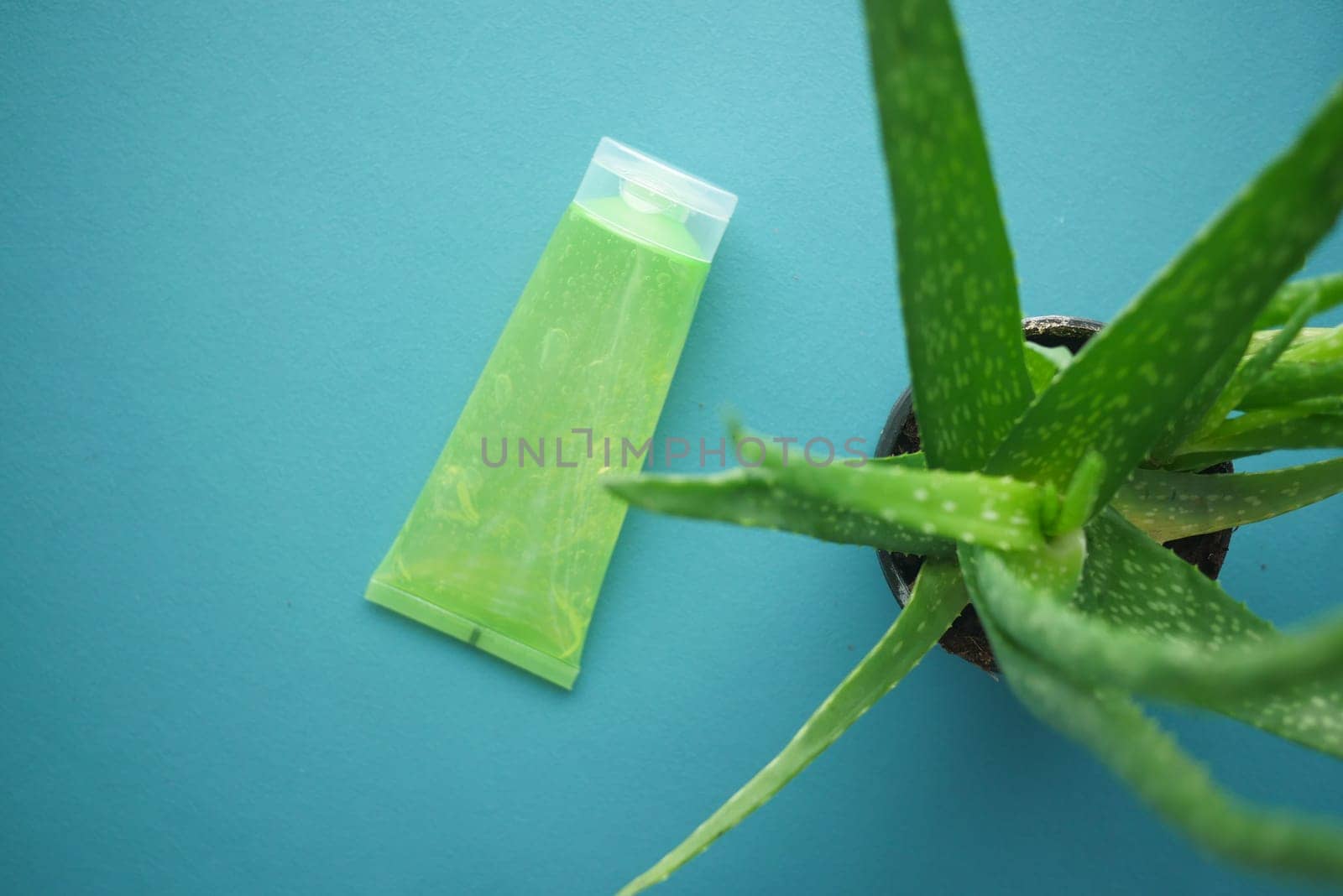 Fresh aloe vera sliced and liquid gel in plastic container on white background by towfiq007