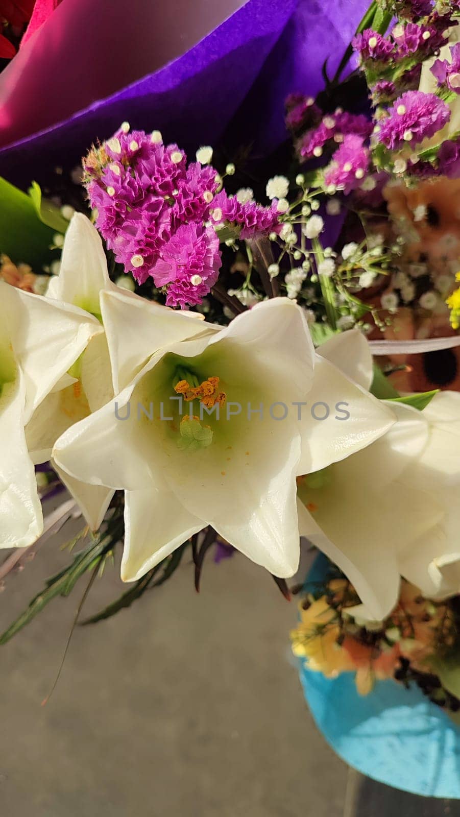beautiful white flowers in a bouquet, flora, botany plant. High quality photo
