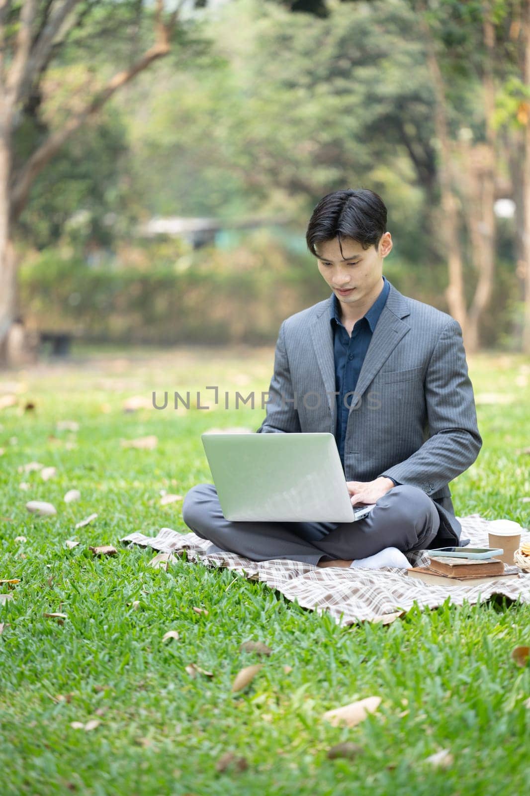 Full length portrait of handsome businessman using laptop on blanket in the city park.