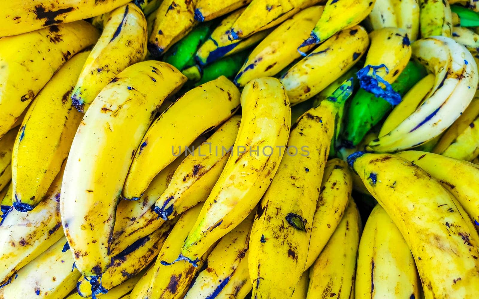 Plantains banana fruit Fruits on the market in Mexico. by Arkadij