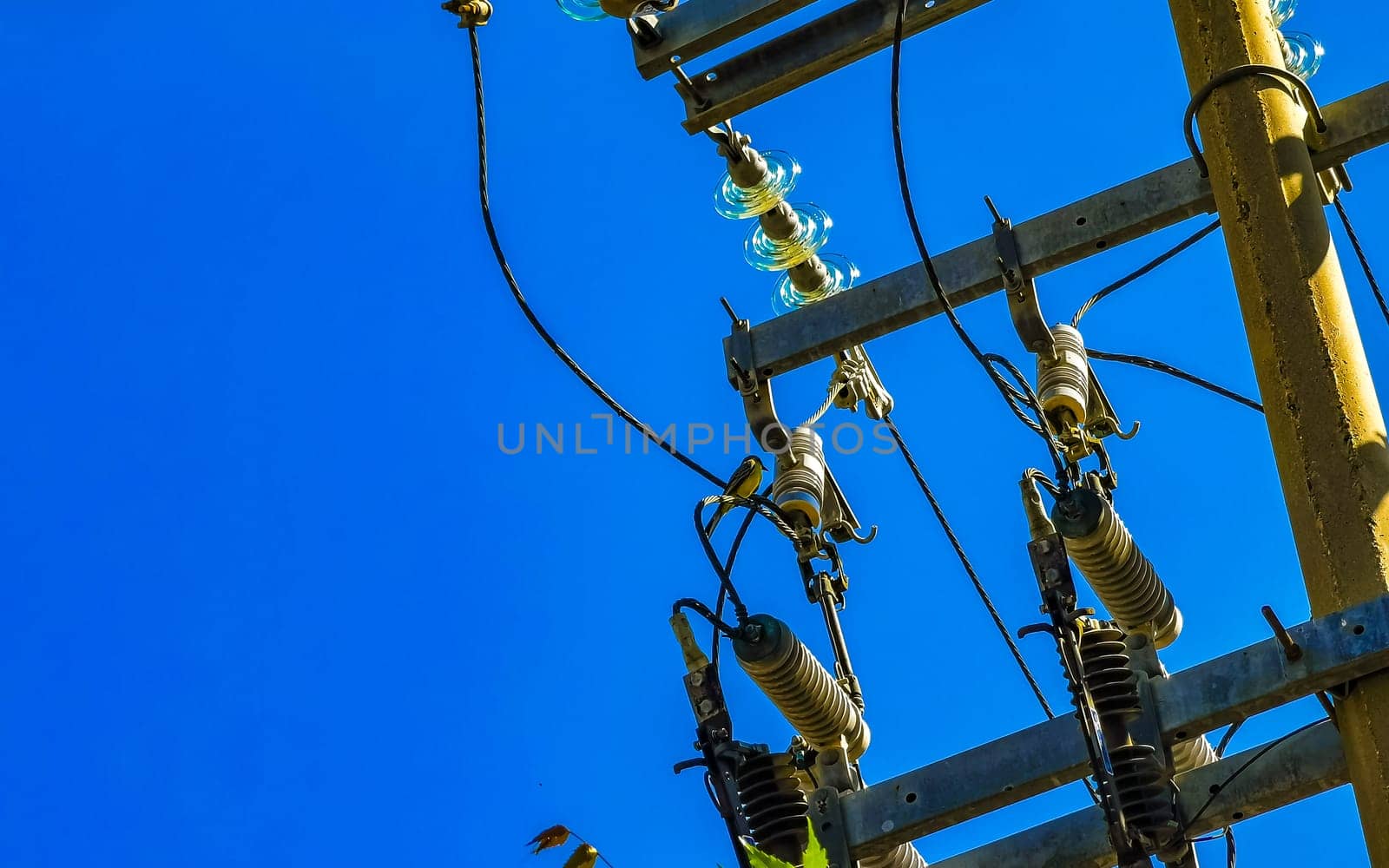 Power pole cable box with blue sky in Mexico. by Arkadij