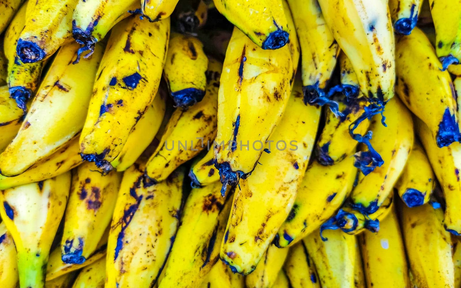 Plantains banana fruit Fruits on the market in Mexico. by Arkadij