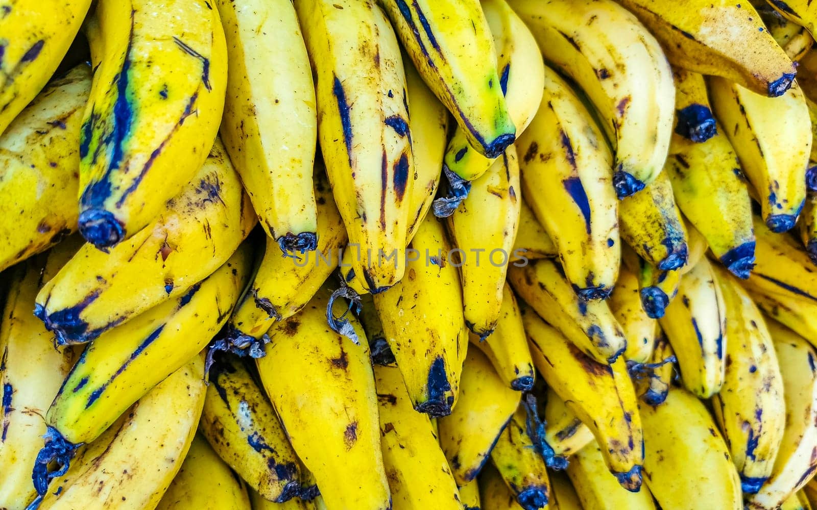 Plantains banana fruit Fruits on the market in Mexico. by Arkadij