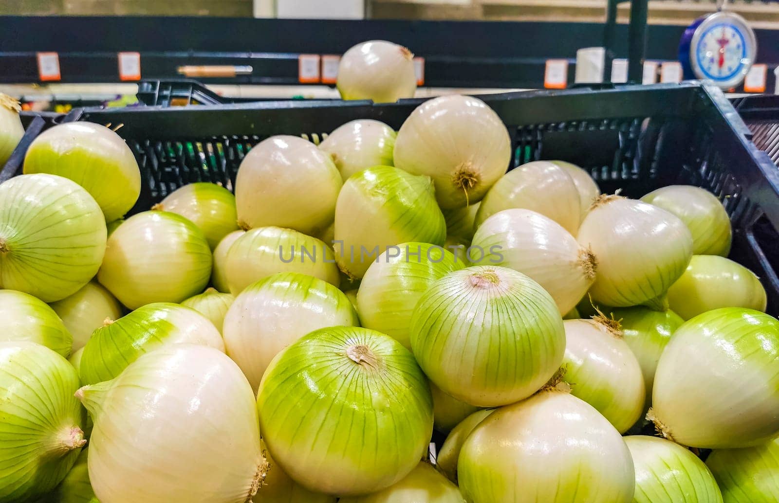 Onions onion red purple and white vegetables on the market by Arkadij