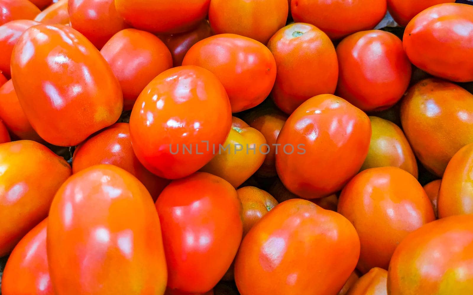 Tomatoes Tomato Vegetables on the market in Zicatela Puerto Escondido Oaxaca Mexico.