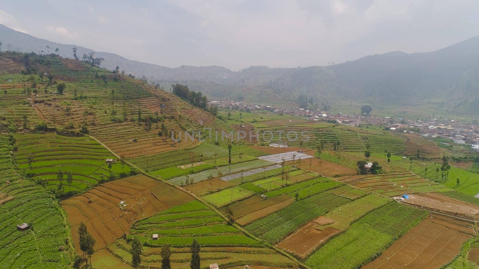 agricultural land in mountains fields with crops, trees. Aerial view farmlands on mountainside Java, Indonesia. tropical landscape