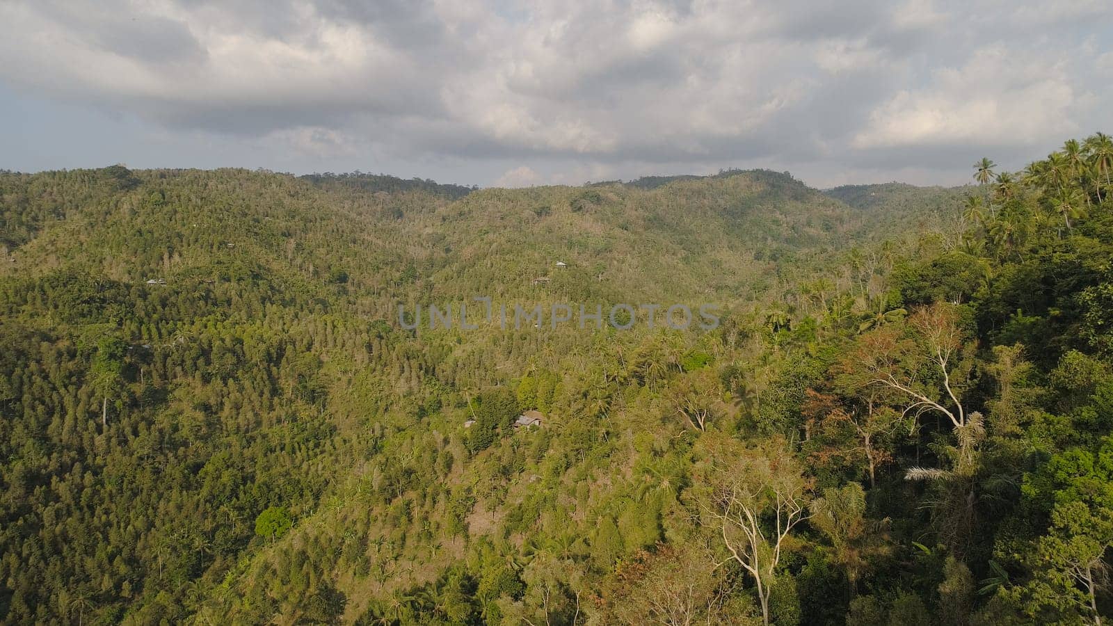 tropical forest on mountain slopes. aerial view rainforest in Indonesia. tropical forest with green, lush vegetation.