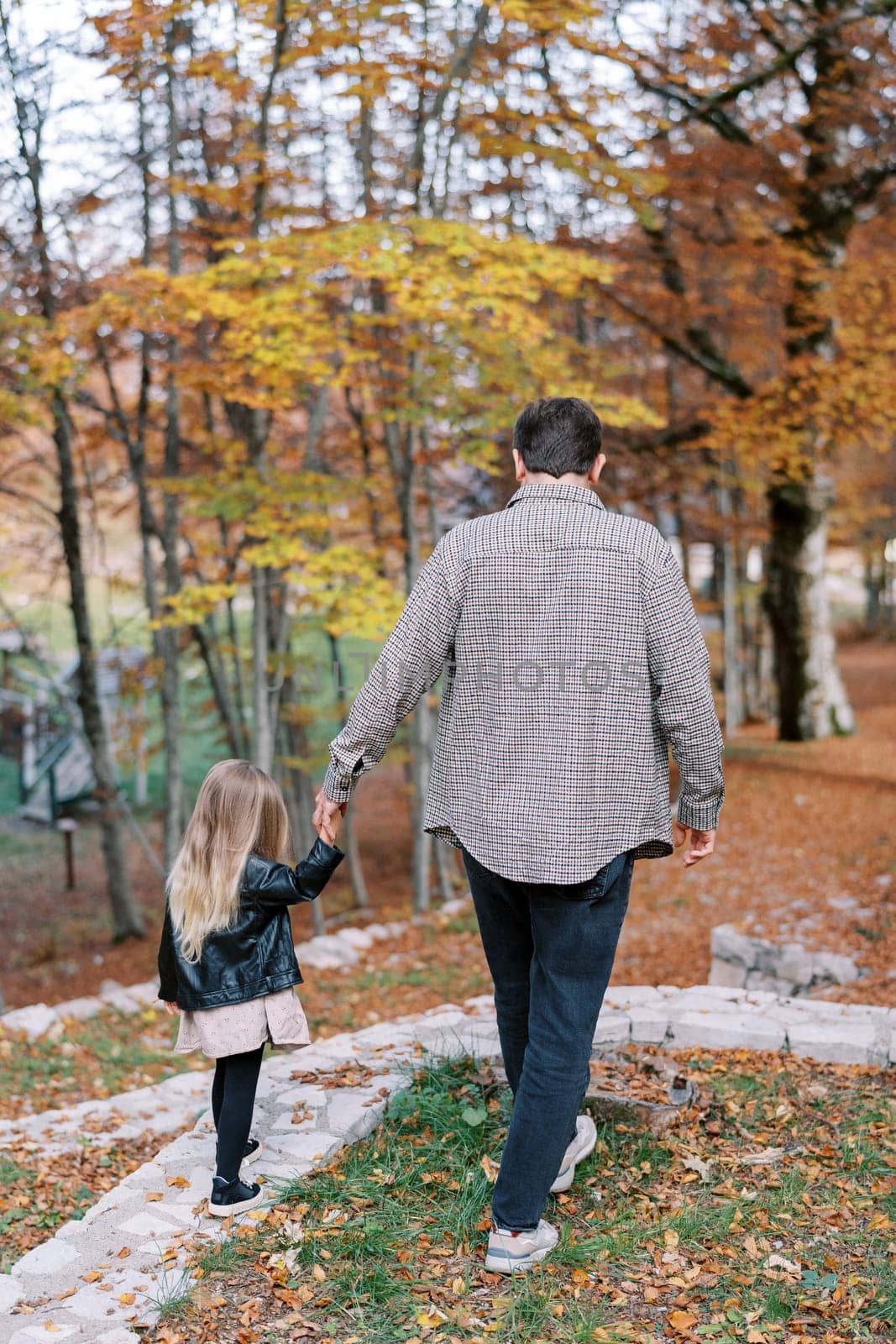 Little girl walks along a paved path in the autumn forest, holding her dad hand. Back view. High quality photo