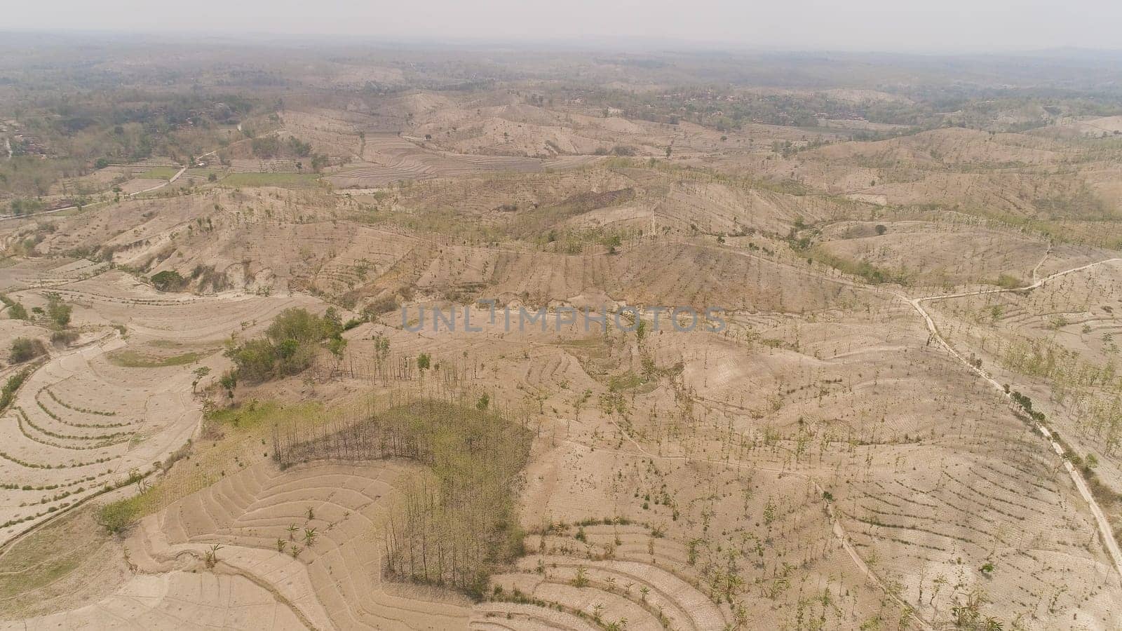 agricultural land in rural areas with farmlands, fields with crops, trees in arid hilly terrain. aerial view growing crops in asia in hilly areas Indonesia.