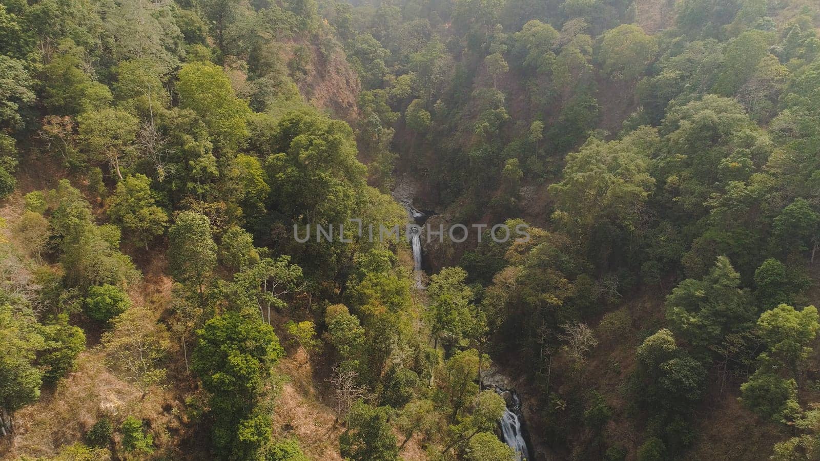 waterfall in tropical forest. aerial view hidden waterfall rainforest in Java Indonesia. forest with green, lush vegetation.