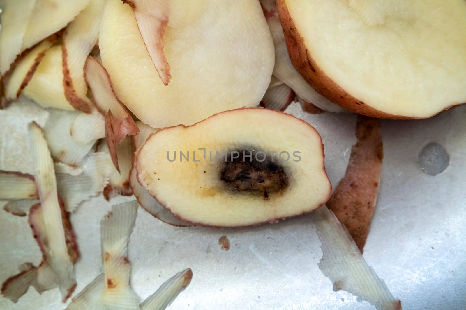 Rotten apples sliced lying in the sink.