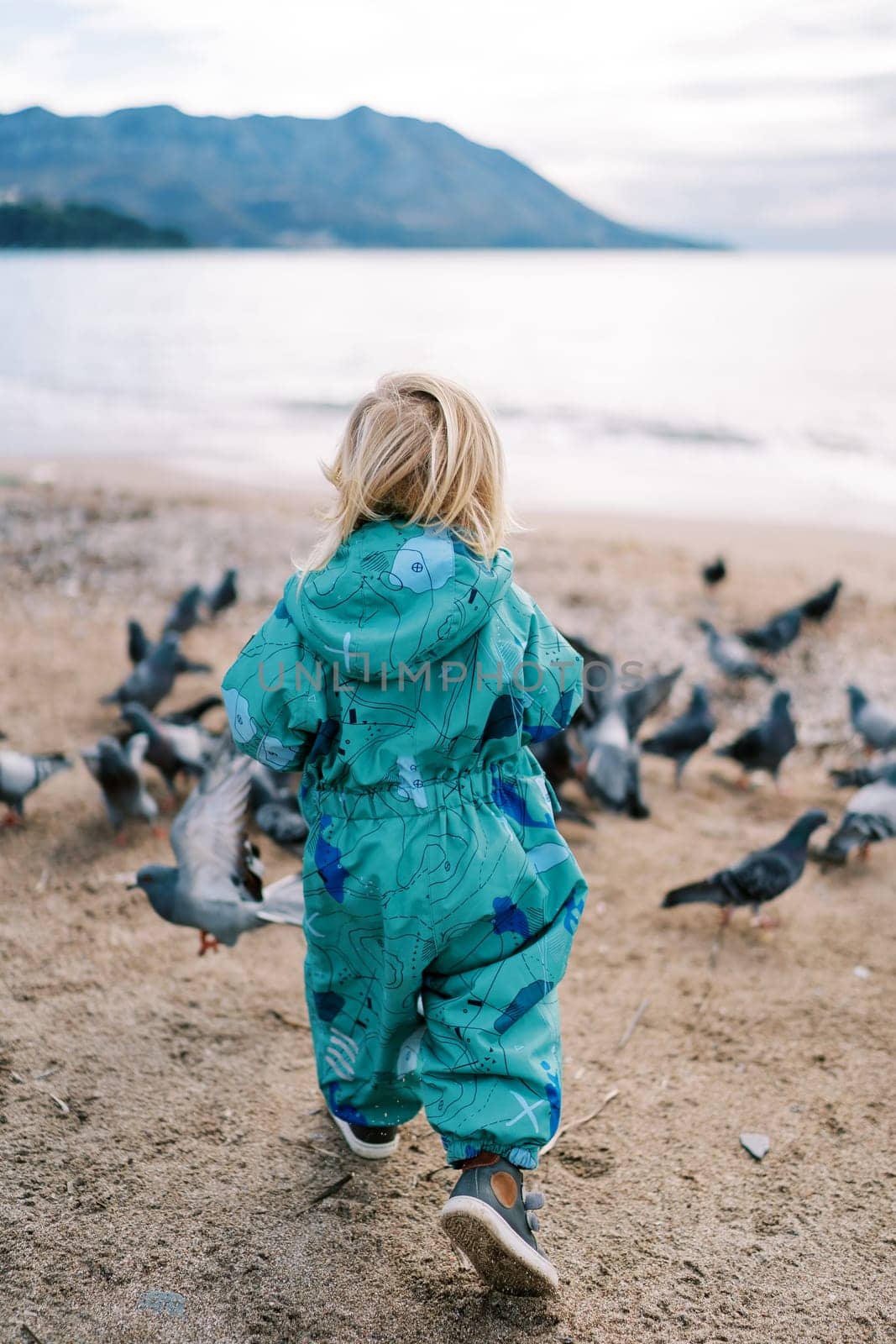 Little girl hurries to a flock of pigeons on the seashore. Back view. High quality photo