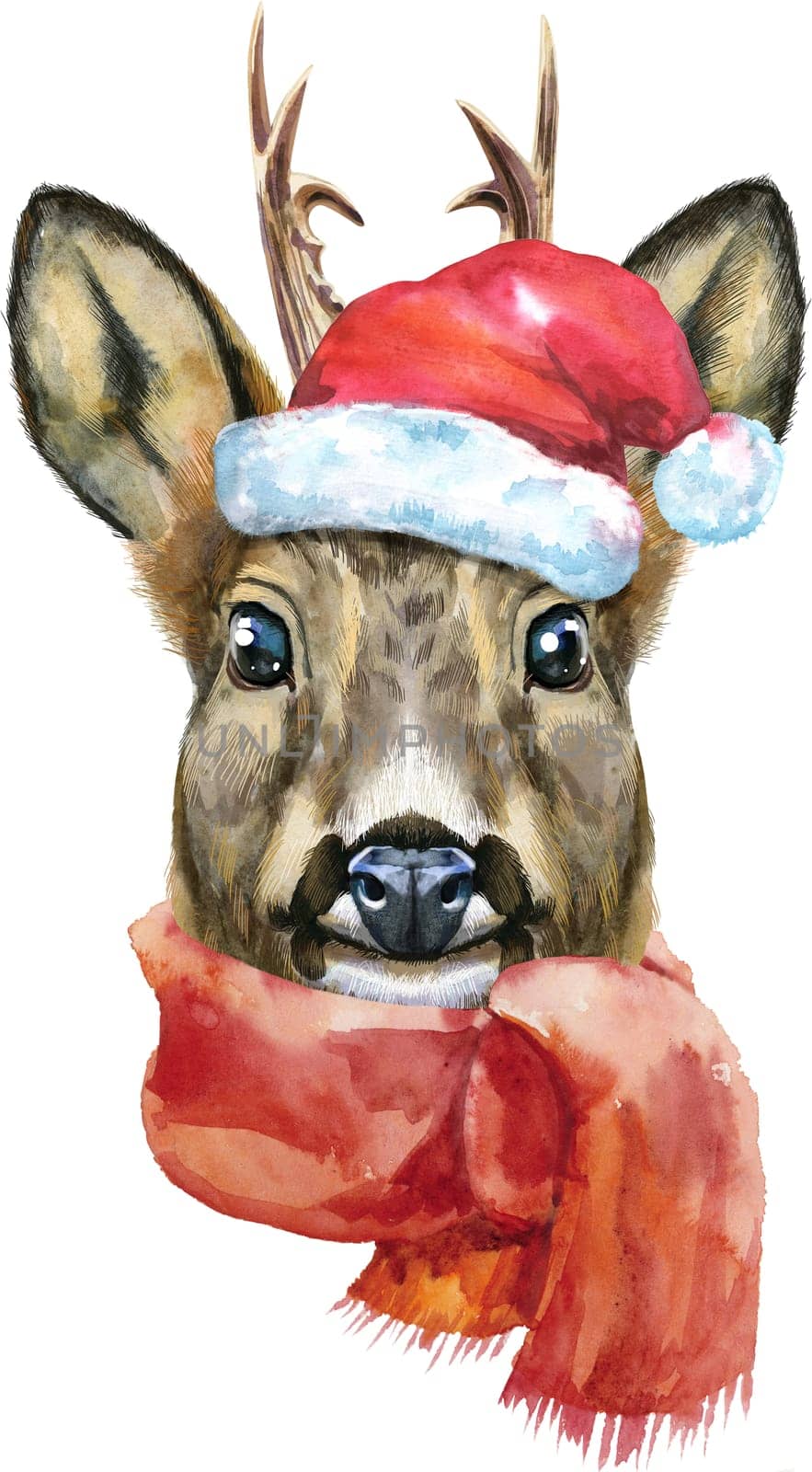 Watercolor drawing of the animal in Santa hat with scarf - roe deer, sketch