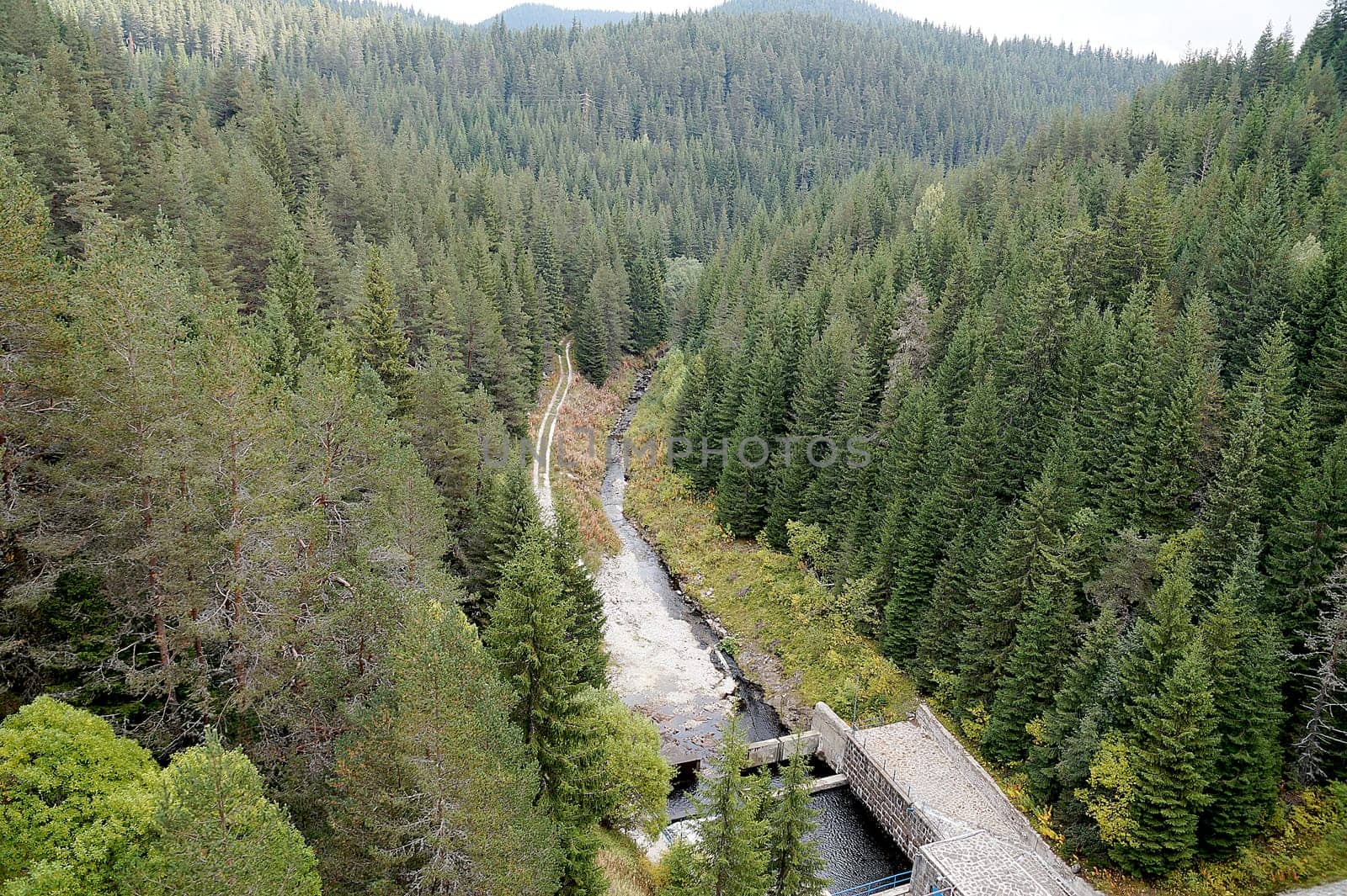 Dam on a mountain river in Bulgaria, aerial photo of a coniferous forest by Annado