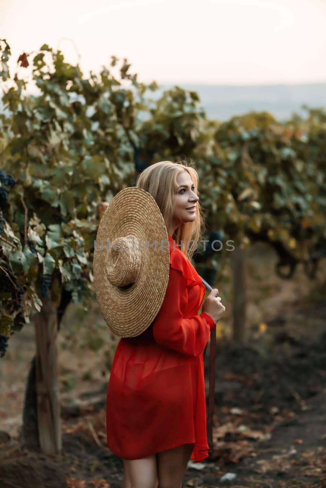 portrait of a happy woman in the summer vineyards at sunset. woman in a hat and smiling