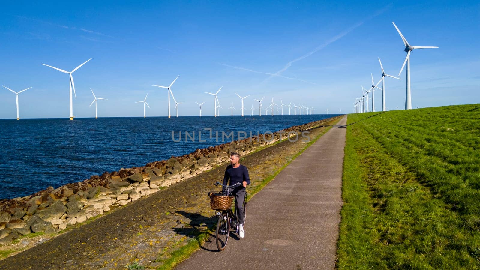 A man gracefully rides a bike along a path next to a tranquil body of water in the scenic landscape of Netherlands Flevoland in Spring by fokkebok